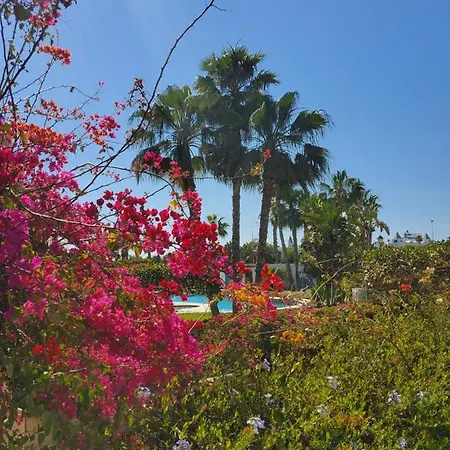 Bajo En Primera Linea De Vera-playa Con Piscina Privada! Apartment *